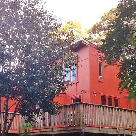 The Coromandel Treehouse 外观 照片