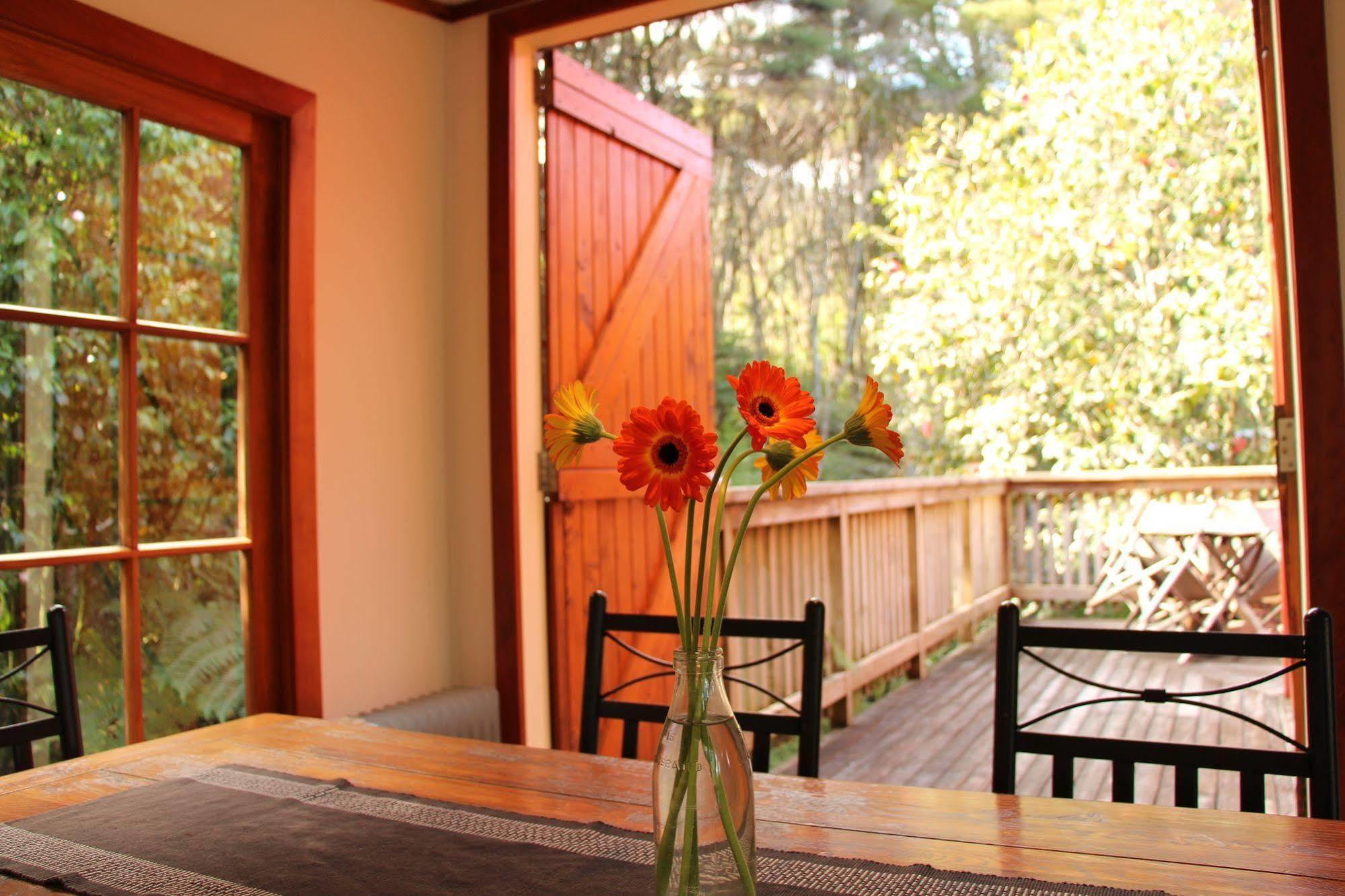 The Coromandel Treehouse 外观 照片