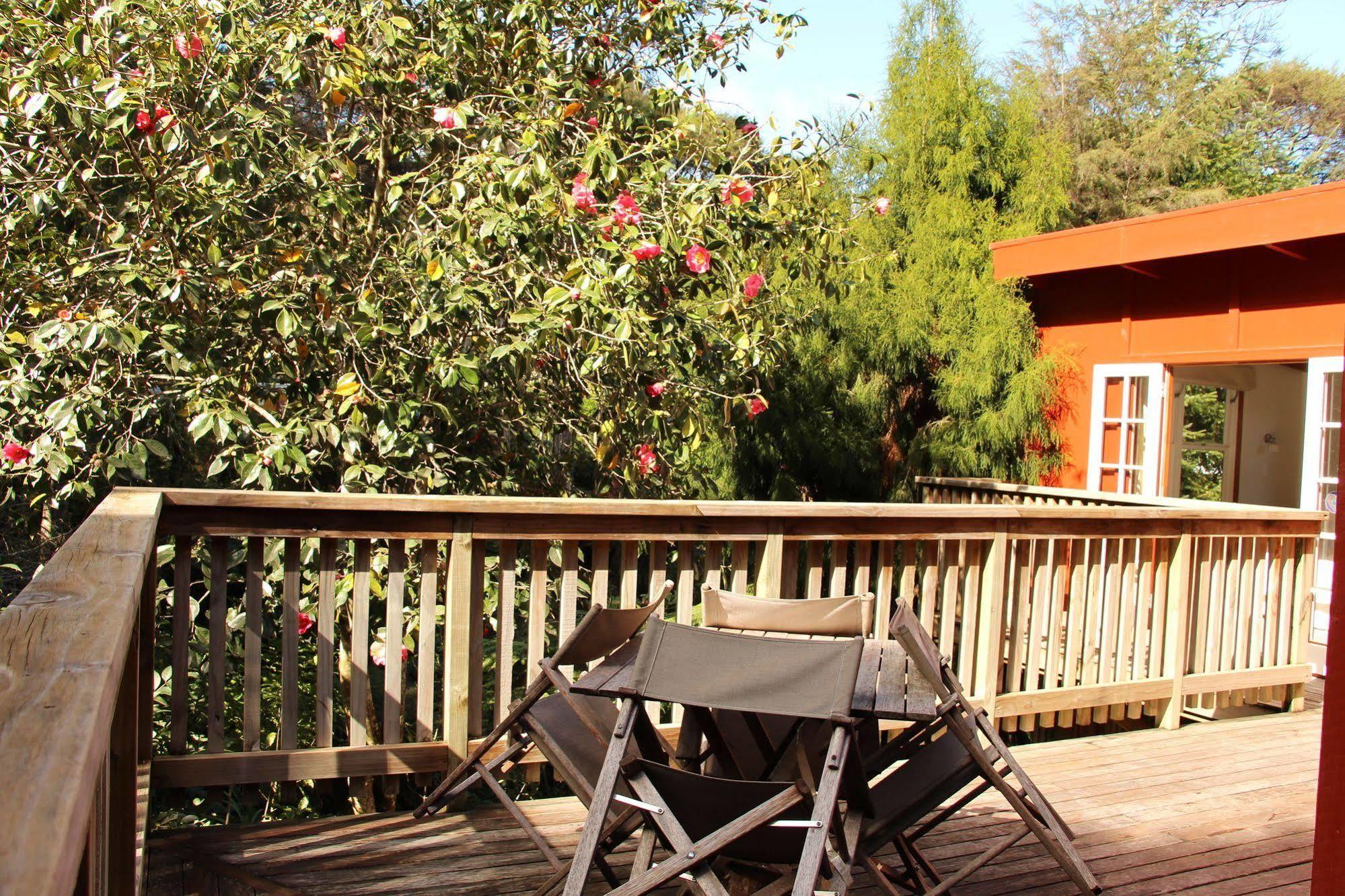 The Coromandel Treehouse 外观 照片